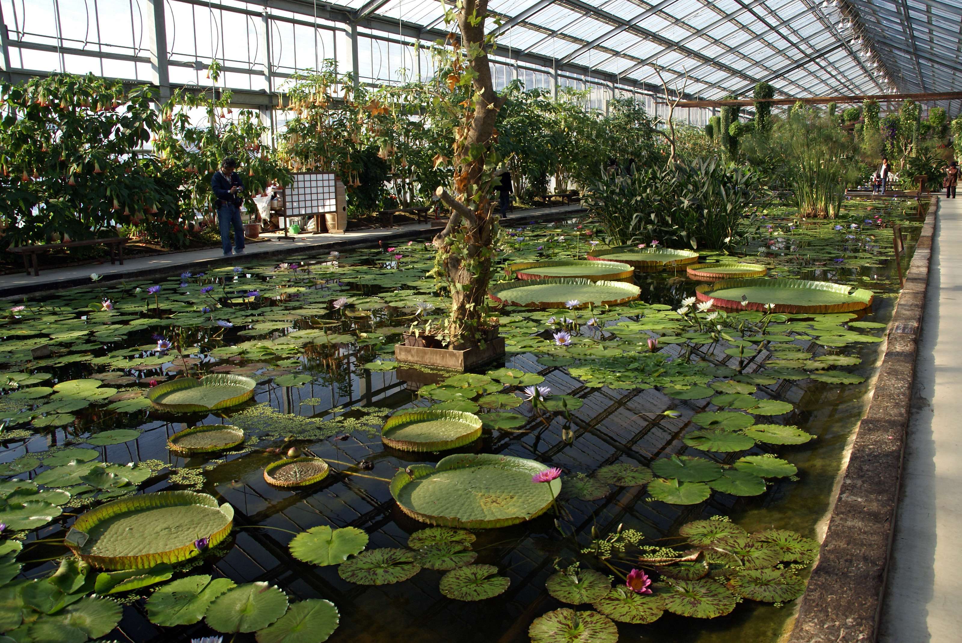 🦁 고베 동물왕국 이미지 8